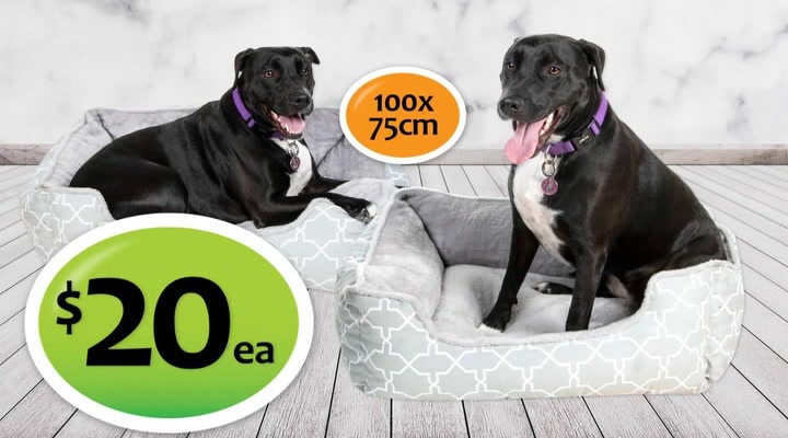 rabbit hutch shiploads