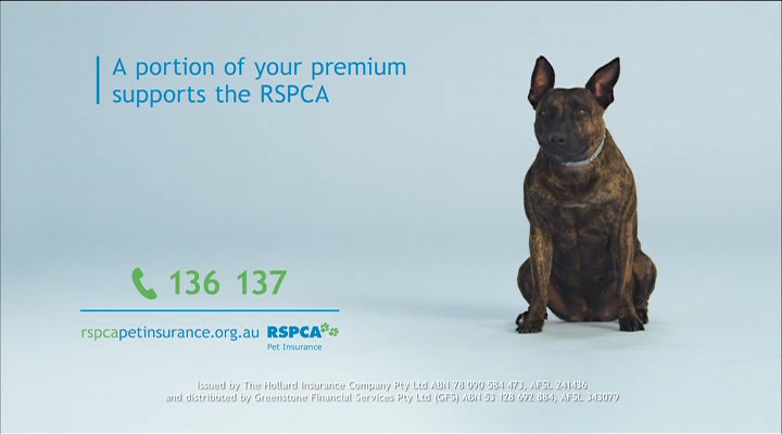 Rspca Pet Insurance Review 2020 Finder Com Au