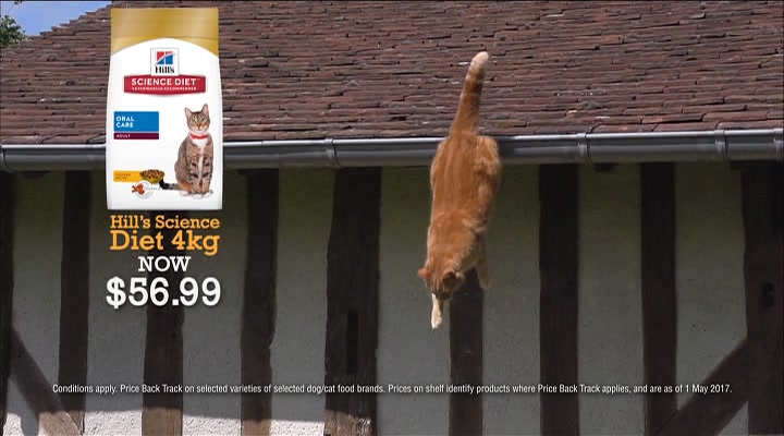 black hawk dog food city farmers