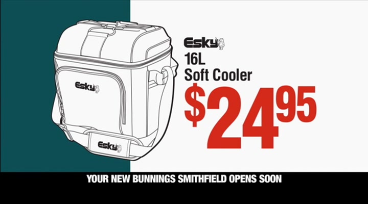 bunnings soft esky